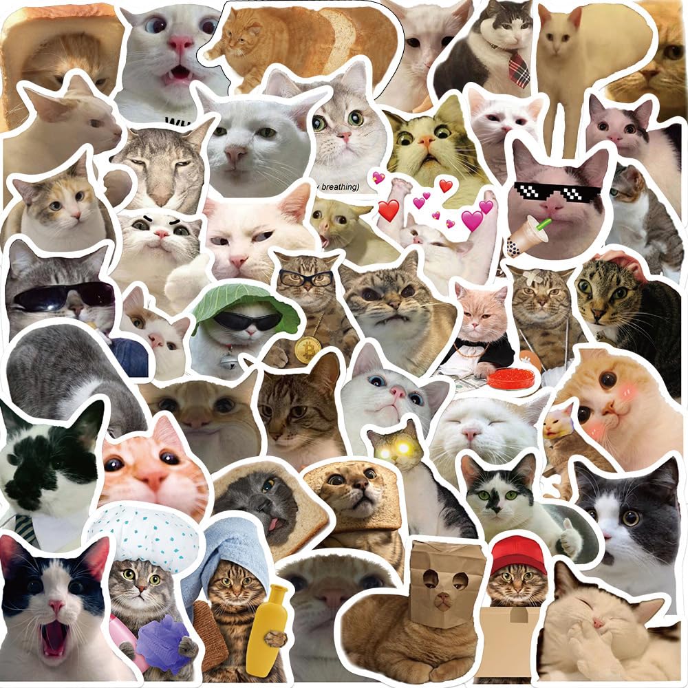 Funny Cat Meme Stickers Cute Cat Stickers 50PCS Kawaii Pet Stickers Pack for Adults Waterproof Vinyl Stickers for Water Bottle Laptop Scrapbook Luggage Guitar Decals Party Supplies (Cat A)